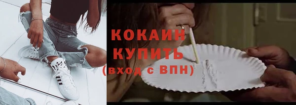 стаф Няндома