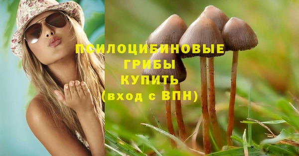 гидропоника Ступино