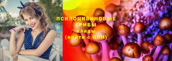спайс Нязепетровск