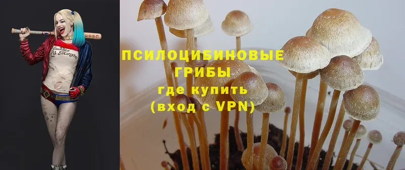 магазин  наркотиков  Игарка  ОМГ ОМГ ССЫЛКА  Псилоцибиновые грибы Psilocybine cubensis 