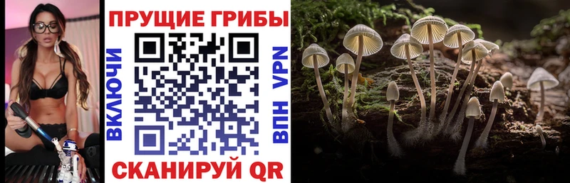 Галлюциногенные грибы Magic Shrooms  ОМГ ОМГ tor  Игарка 